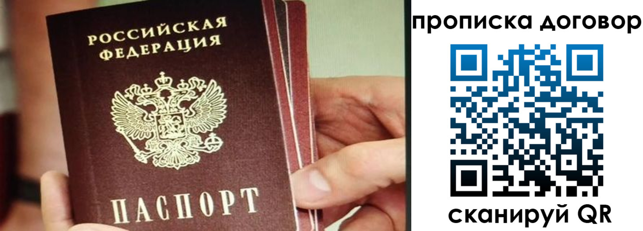 прописка в Ковдоре